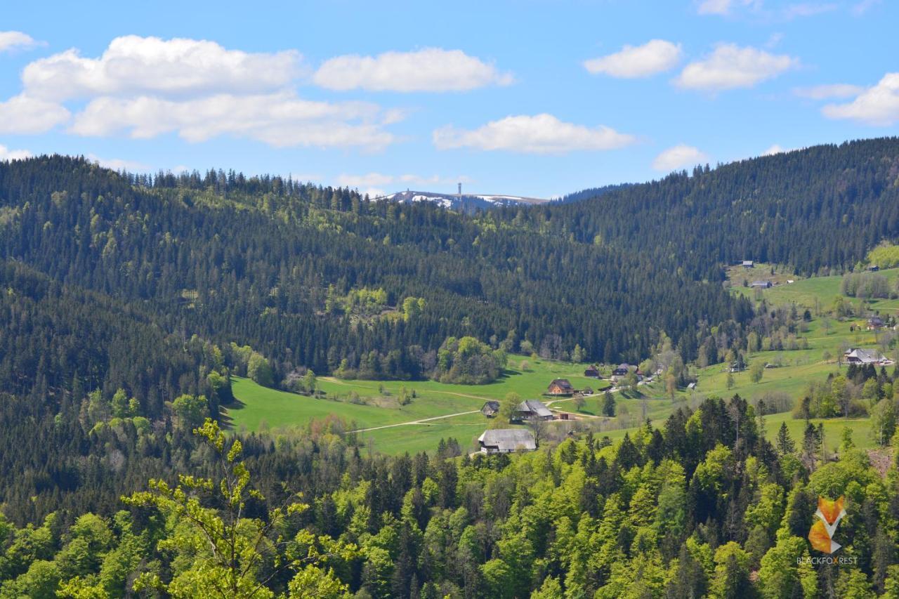 Blackfoxrest Ferienwohnung Feldberg  Exteriér fotografie