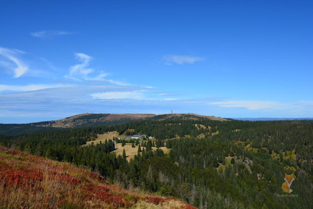 Blackfoxrest Ferienwohnung Feldberg  Exteriér fotografie