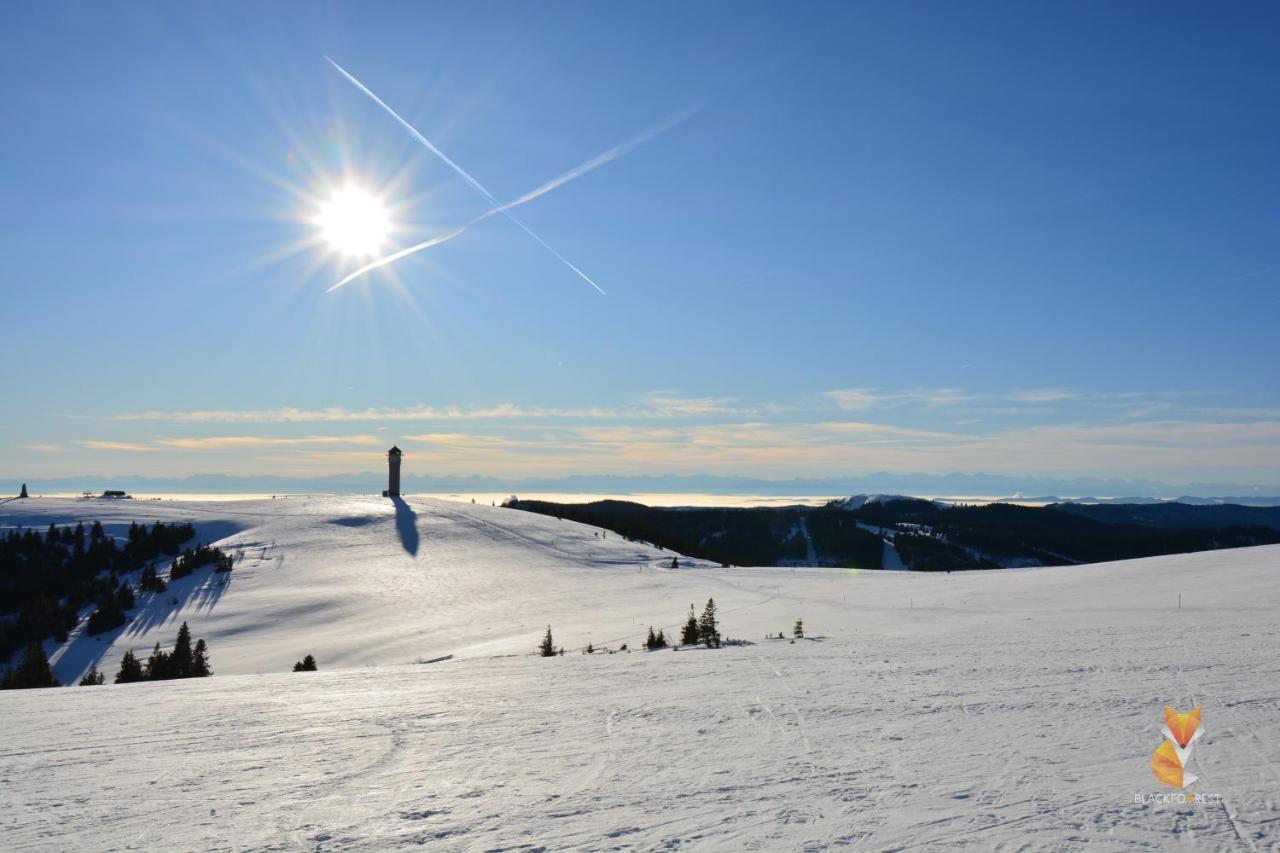 Blackfoxrest Ferienwohnung Feldberg  Exteriér fotografie