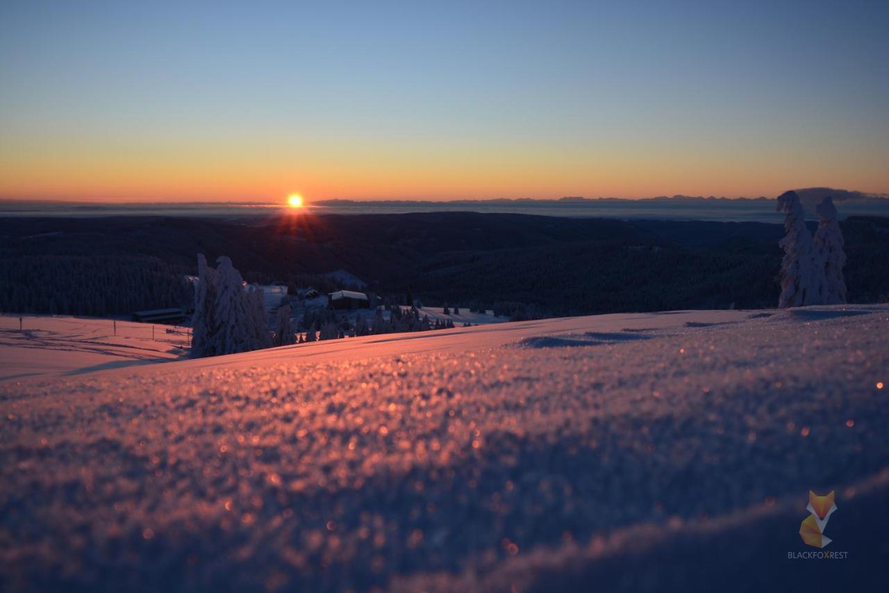 Blackfoxrest Ferienwohnung Feldberg  Exteriér fotografie