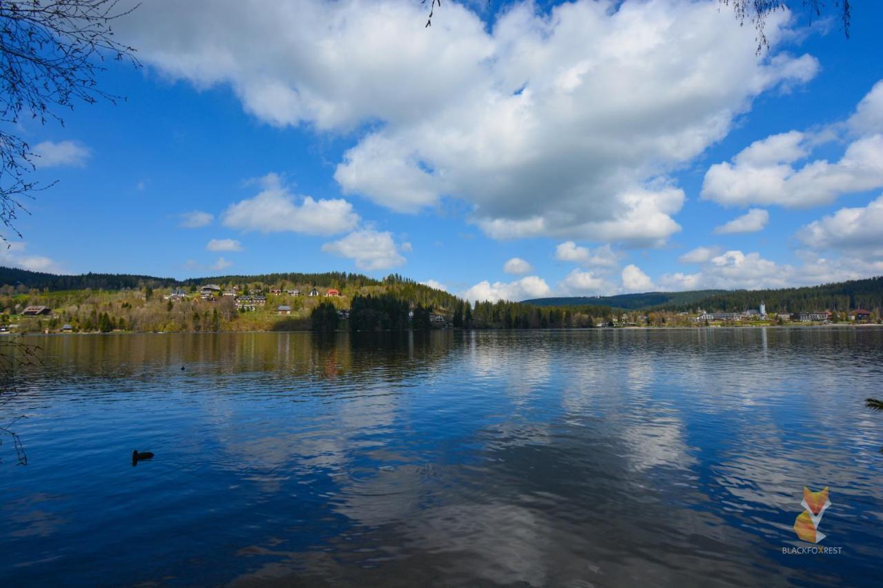 Blackfoxrest Ferienwohnung Feldberg  Exteriér fotografie