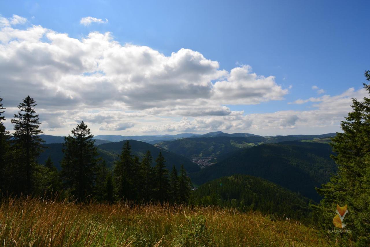 Blackfoxrest Ferienwohnung Feldberg  Exteriér fotografie