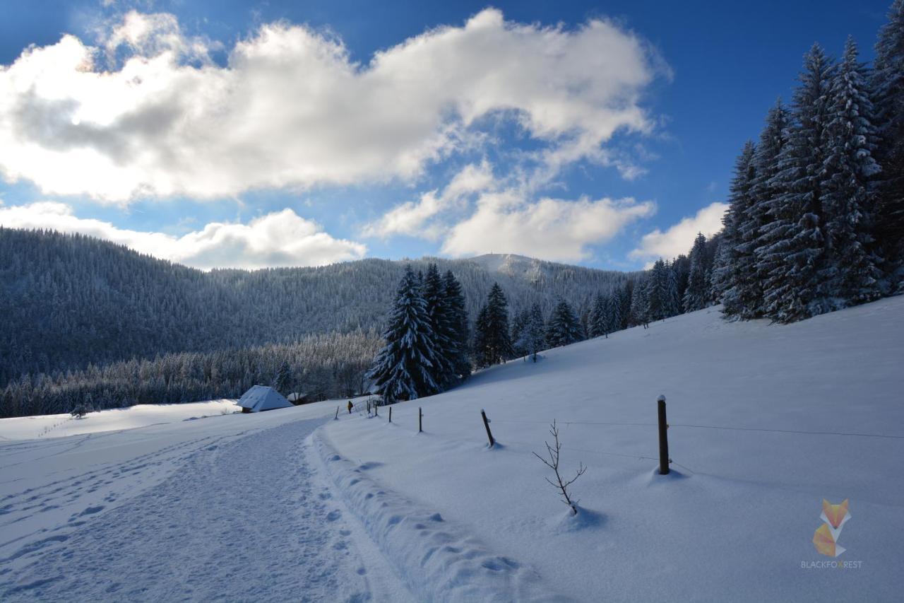Blackfoxrest Ferienwohnung Feldberg  Exteriér fotografie