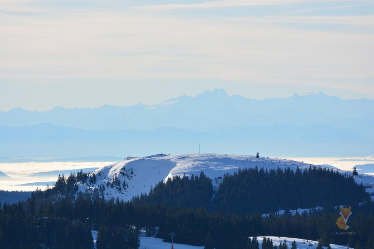 Blackfoxrest Ferienwohnung Feldberg  Exteriér fotografie